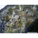 Olivino: color verde