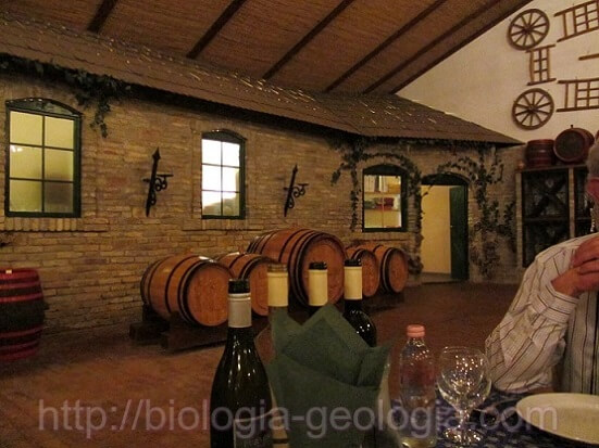 Mesa con varias botellas de vino y, al fondo, cinco barriles de vino