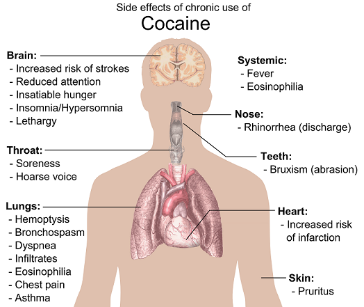 Efectos de la cocaína