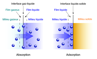 Diferencia entre absorción y adsorción